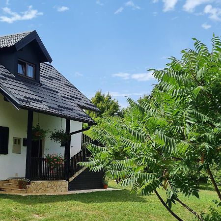 Apartman Poznanovic Apartment Раковица Екстериор снимка