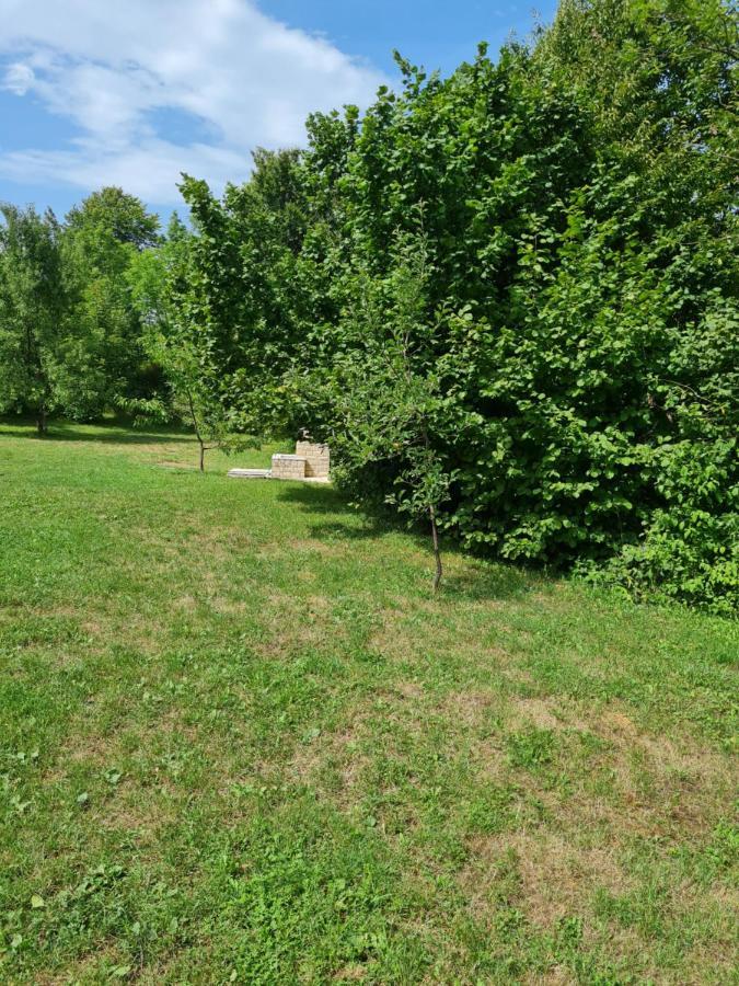 Apartman Poznanovic Apartment Раковица Екстериор снимка